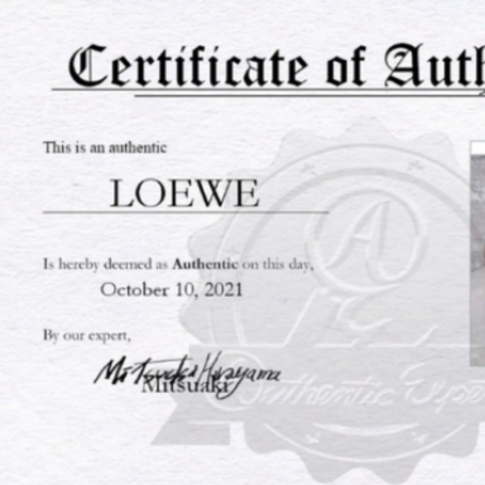 🦌  Men's LOEWE® Palladium Genuine Grain Leather Checkbook Wallet + COA NEW! - Picture 16 of 16